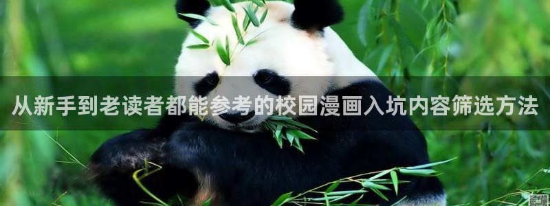 樱花日语资料