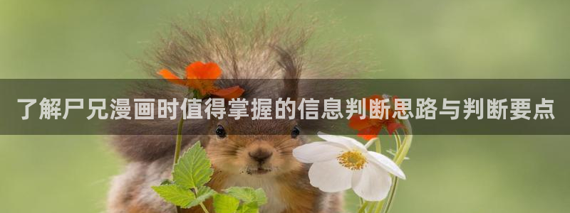 樱花日语单词